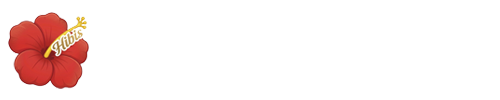 Brandshop Hibis｜東京都杉並区